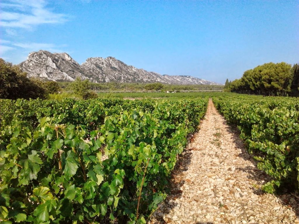 Domaine d'Eole-Eygalières