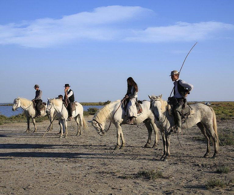 Mas la Bergerie - zu besichtigen -Camargues